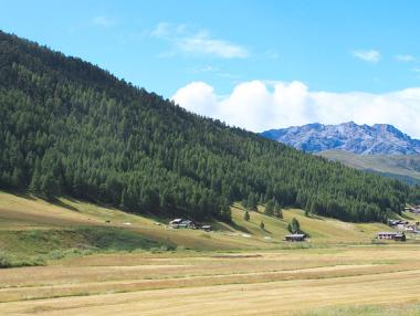Letní krajina kolem Livigna